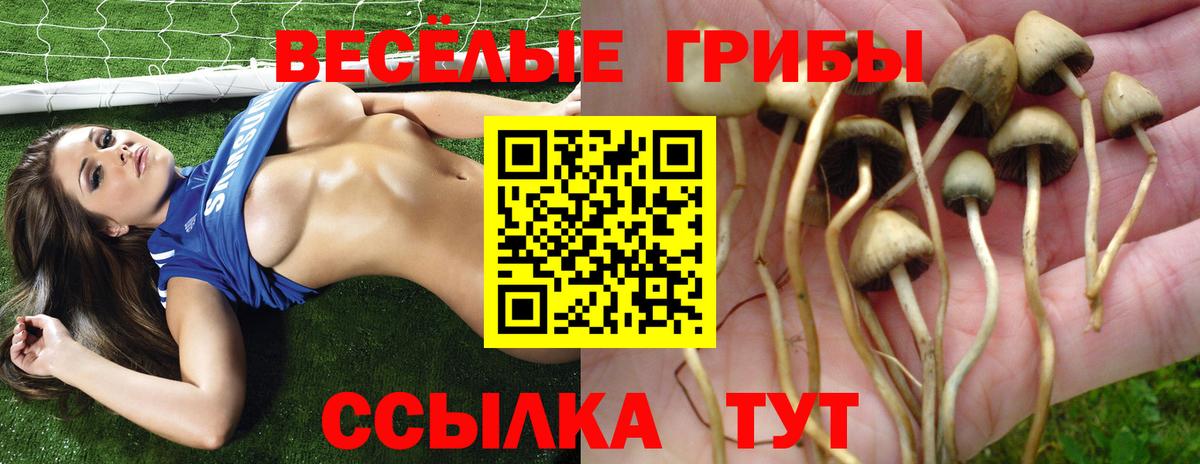 Галлюциногенные грибы прущие грибы Кострома
