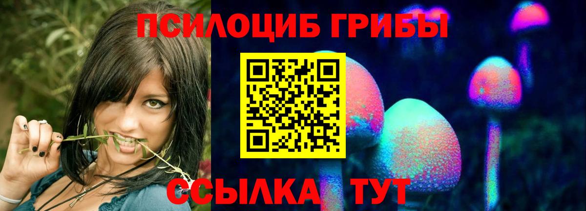 Псилоцибиновые грибы Psilocybine cubensis  Вход с VPN  Галлюциногенные грибы MAGIC MUSHROOMS  Кострома 